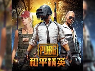 Pubg game icon
